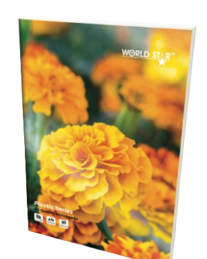 A4 Worldstar Plastic Book